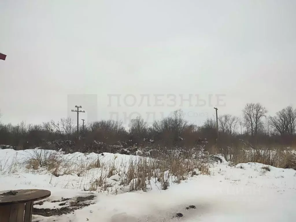 Участок в Новгородская область, Старая Русса Линейный пер. (15.0 сот.) - Фото 1