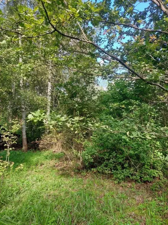 Участок, 10 сот., сельхоз (снт или днп) - Фото 2