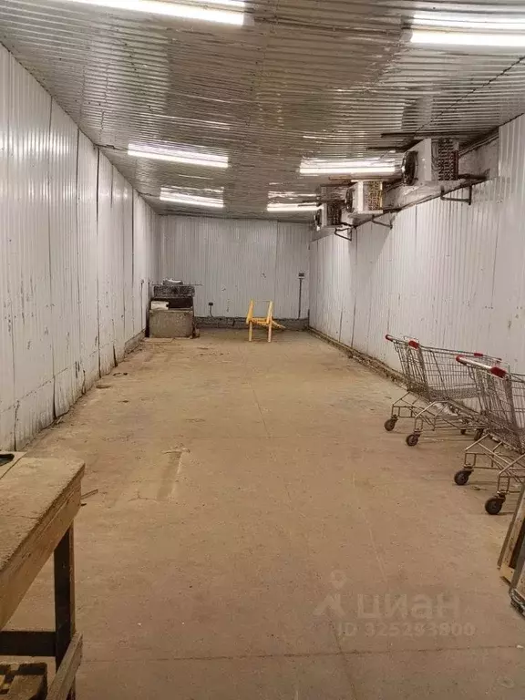 Склад в Брянская область, Брянский район, пос. Мичуринский Спортивная ... - Фото 1