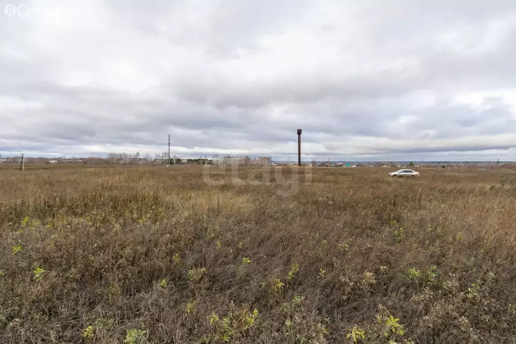 Участок в Тукаевский район, Калмиинское сельское поселение, ДНП Ясная ... - Фото 1