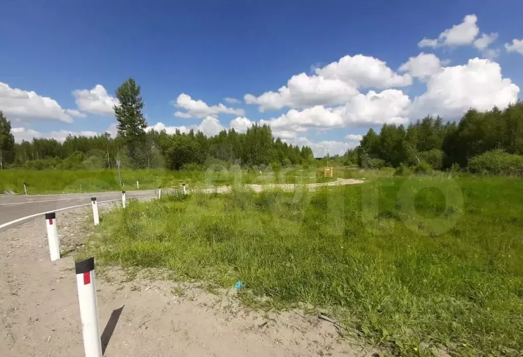 Участок в Ярославская область, Ярославль ул. Ахмерова (6.0 сот.) - Фото 2