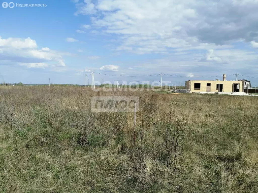 Участок в Липецкая область, Добровский муниципальный округ, село ... - Фото 2