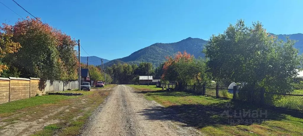 Участок в Алтай, Усть-Коксинский район, с. Мульта  (6.2 сот.) - Фото 2