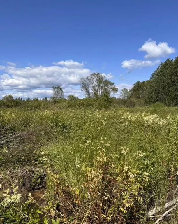 Участок в Псковская область, Псковский район, Писковичская волость, д. ... - Фото 2