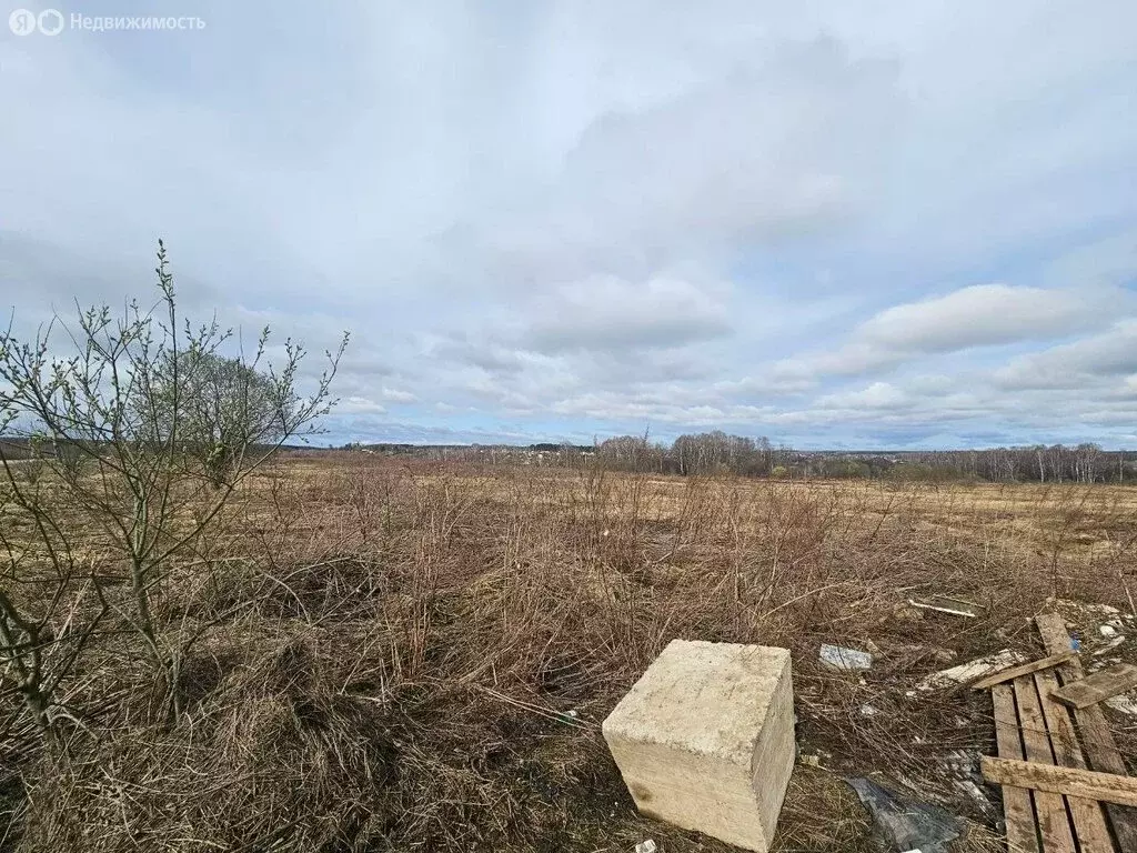 Участок в Московская область, муниципальный округ Чехов, деревня ... - Фото 1