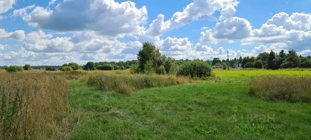 Участок в Ленинградская область, Гатчинский район, с. Рождествено ул. ... - Фото 0