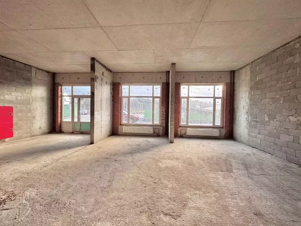 Помещение свободного назначения в Санкт-Петербург пос. Парголово, ул. ... - Фото 1