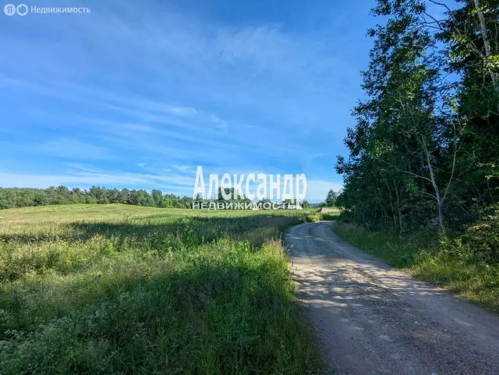 Участок в Республика Карелия, Лахденпохский муниципальный округ, ... - Фото 2