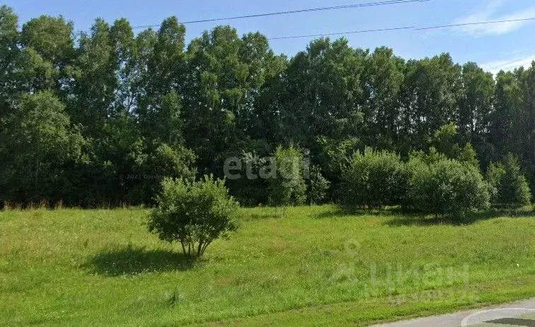 Участок в Новосибирская область, Мошковский район, Майский-Кошево СНТ  ... - Фото 0