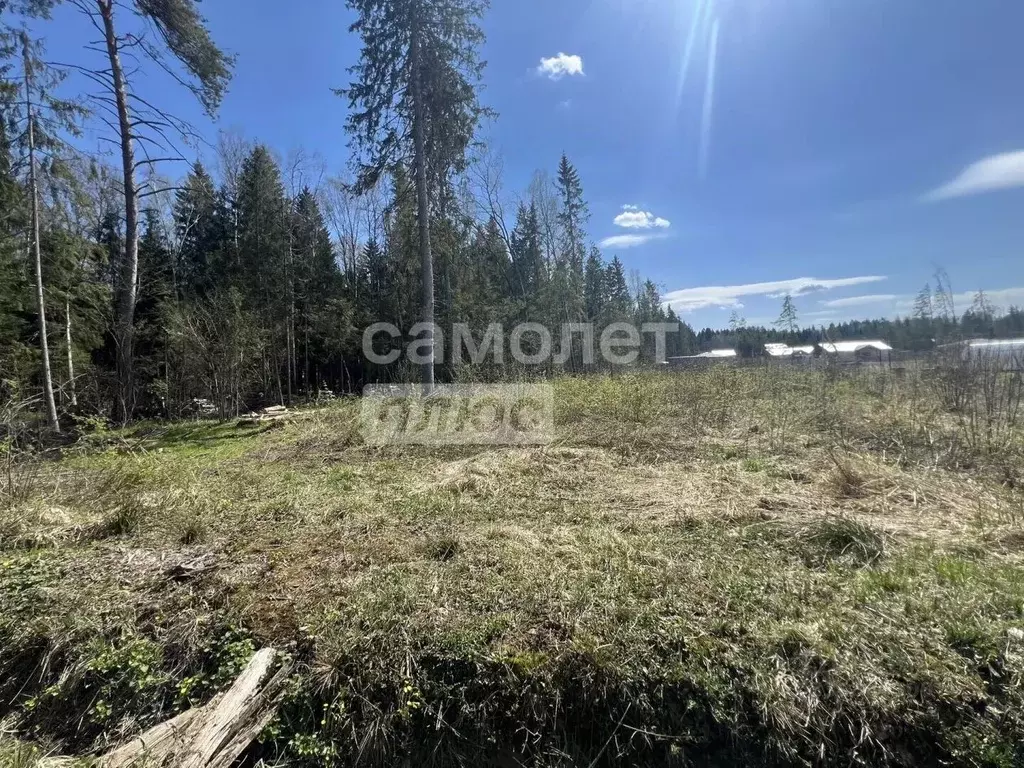 Участок в Московская область, Наро-Фоминский городской округ, ... - Фото 2