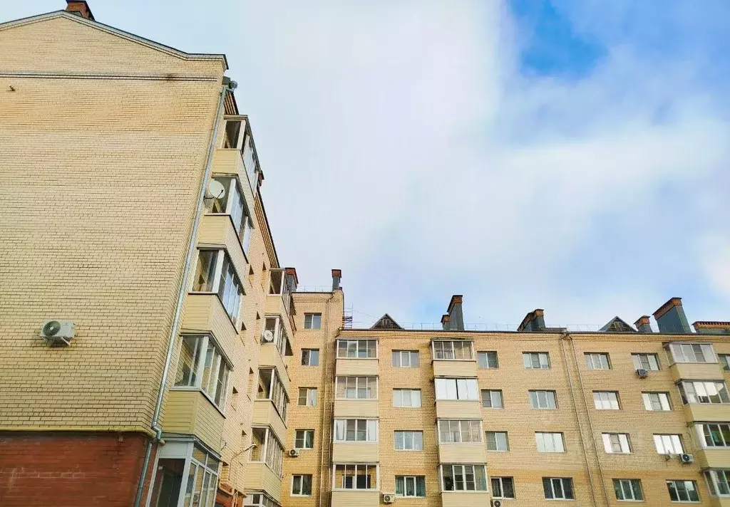 1-к кв. Ярославская область, Рыбинск Волжская наб., 203 (32.2 м) - Фото 1