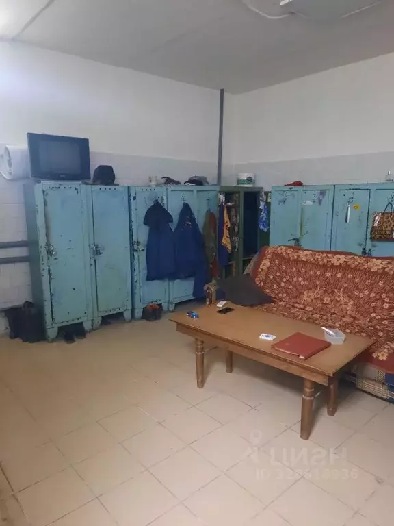 Помещение свободного назначения в Чувашия, Чебоксары ул. ... - Фото 2