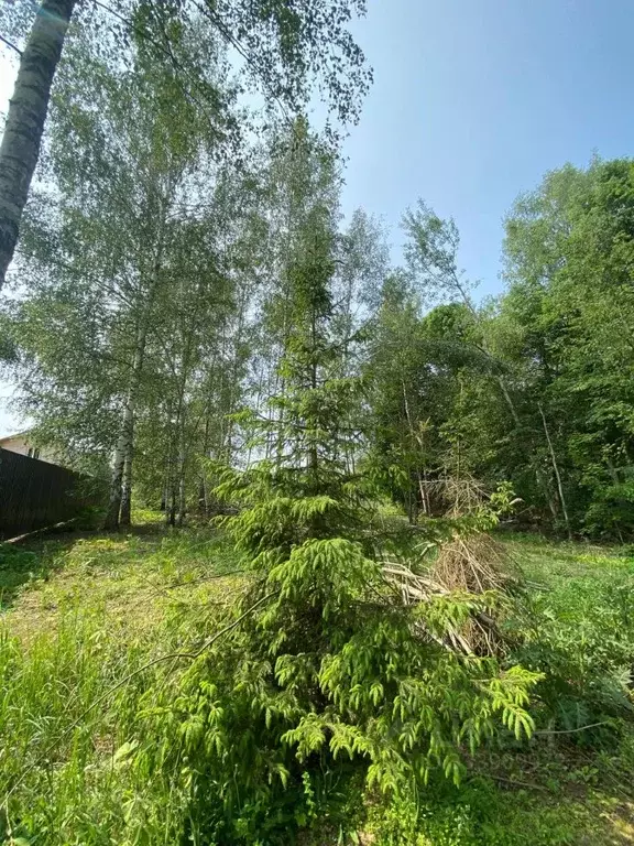Участок в Московская область, Клин городской округ, д. Соголево  (6.0 ... - Фото 1