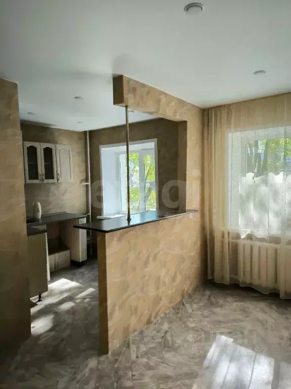 1-к кв. Амурская область, Благовещенск ул. Ленина, 39 (30.0 м) - Фото 1