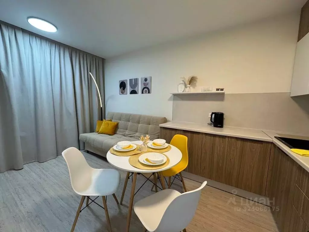 Студия Свердловская область, Екатеринбург ул. Фрунзе, 31/2 (23.5 м) - Фото 2