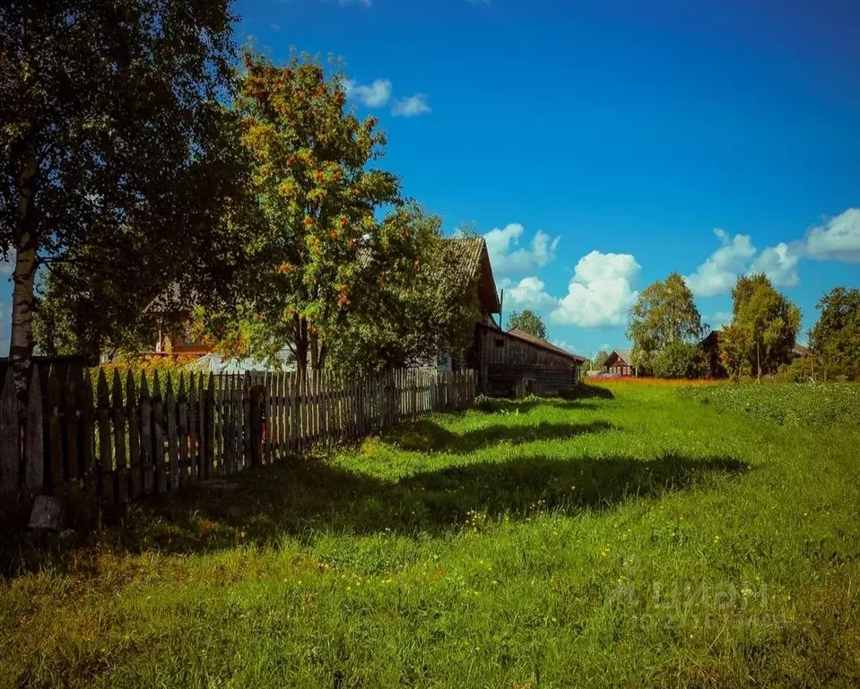 Участок в Башкортостан, Иглинский район, Ауструмский сельсовет, д. ... - Фото 2