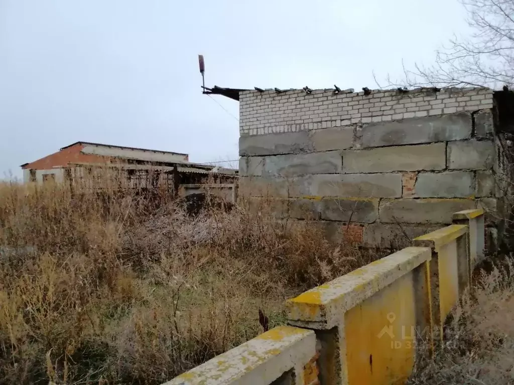 Производственное помещение в Белгородская область, Алексеевский ... - Фото 1