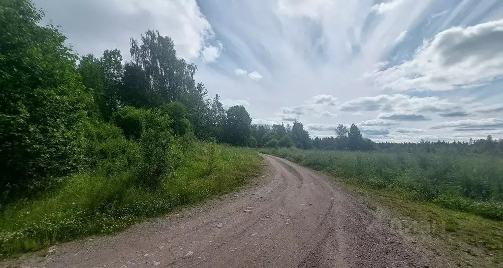 Участок в Ленинградская область, Выборгский район, Селезневское с/пос, ... - Фото 2