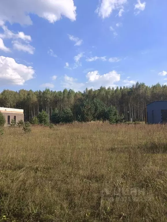 Участок в Тверская область, Калининский муниципальный округ, Новое ... - Фото 0