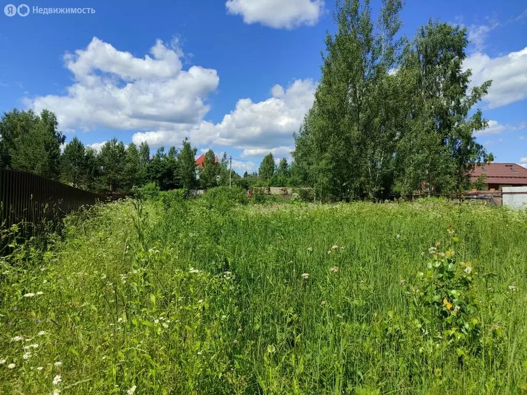 Участок в Рузский городской округ, деревня Копцево (15 м) - Фото 0