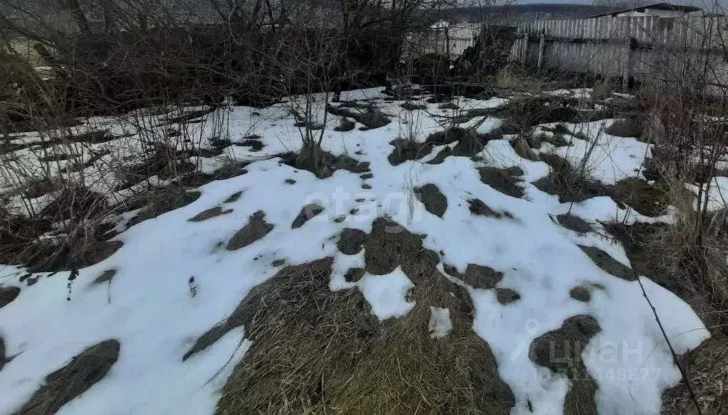 Участок в Белгородская область, Волоконовский район, Покровское с/пос, ... - Фото 1