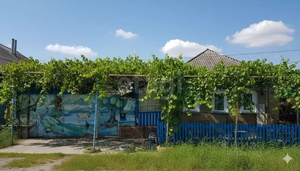 Дом в Белгородская область, Новооскольский муниципальный округ, с. ... - Фото 0