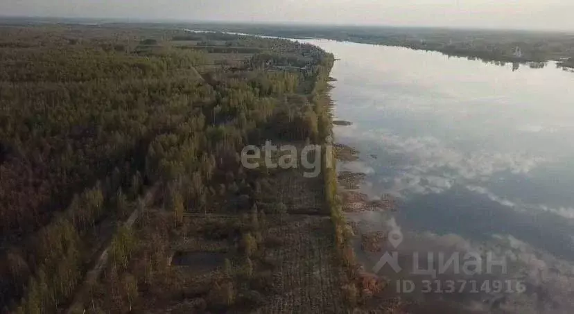 Участок в Ярославская область, Некрасовское с/пос, д. Новые Ченцы  ... - Фото 0