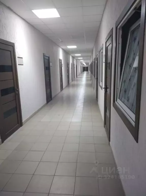 Помещение свободного назначения в Алтайский край, Барнаул ул. ... - Фото 1