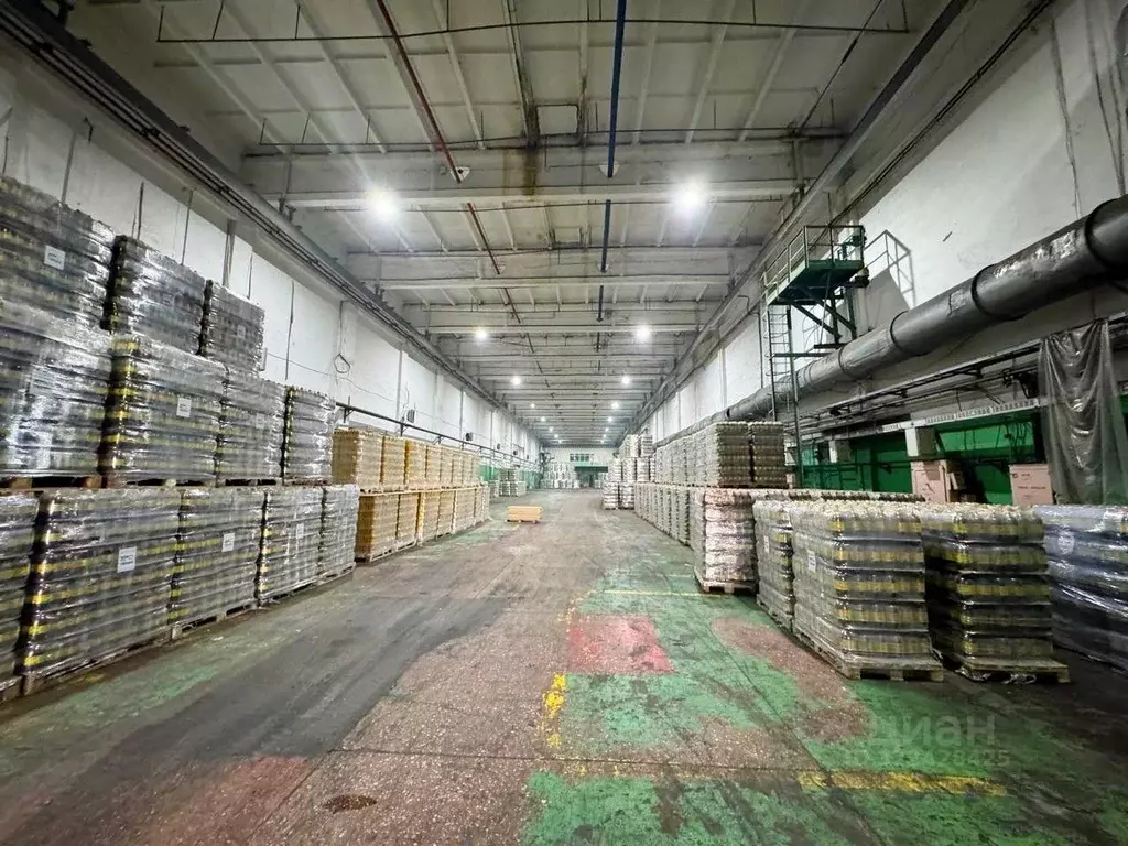 Производственное помещение в Самарская область, Сызрань ул. ... - Фото 2