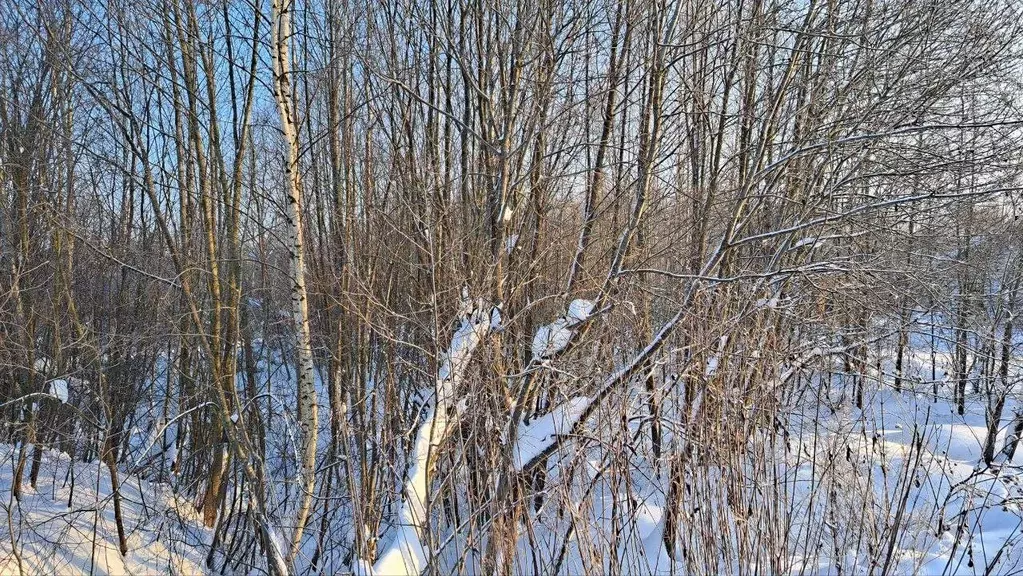 Участок в Московская область, Дубна наб. Дубненская (7.71 сот.) - Фото 1