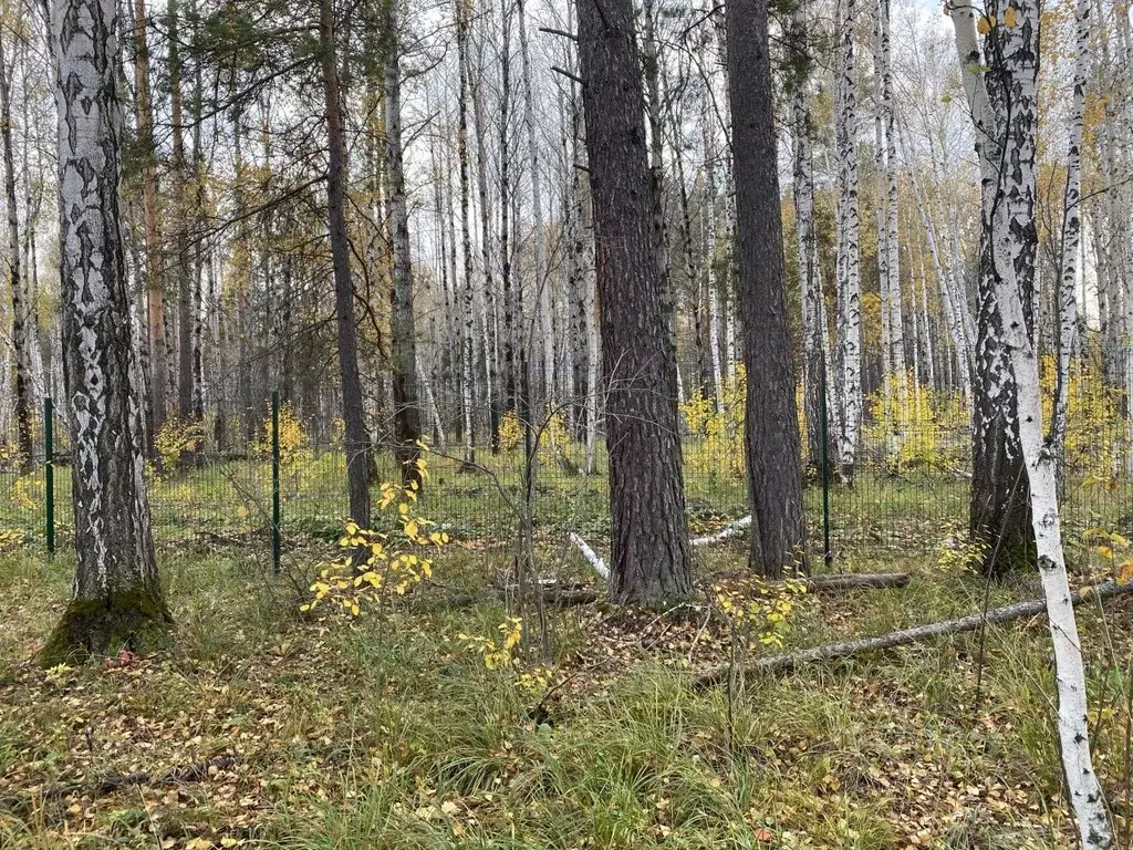 Участок в Свердловская область, Сысертский муниципальный округ, пос. ... - Фото 1