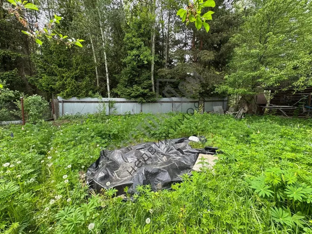 Дом в Богородский городской округ, СНТ Ивушка (29.8 м) - Фото 0