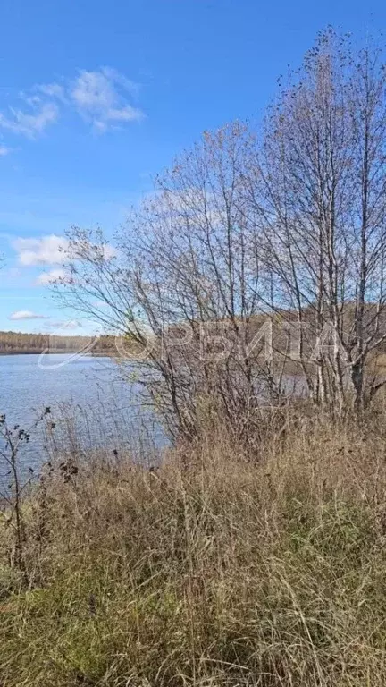 Участок в Свердловская область, Тугулымский муниципальный округ, с. ... - Фото 1