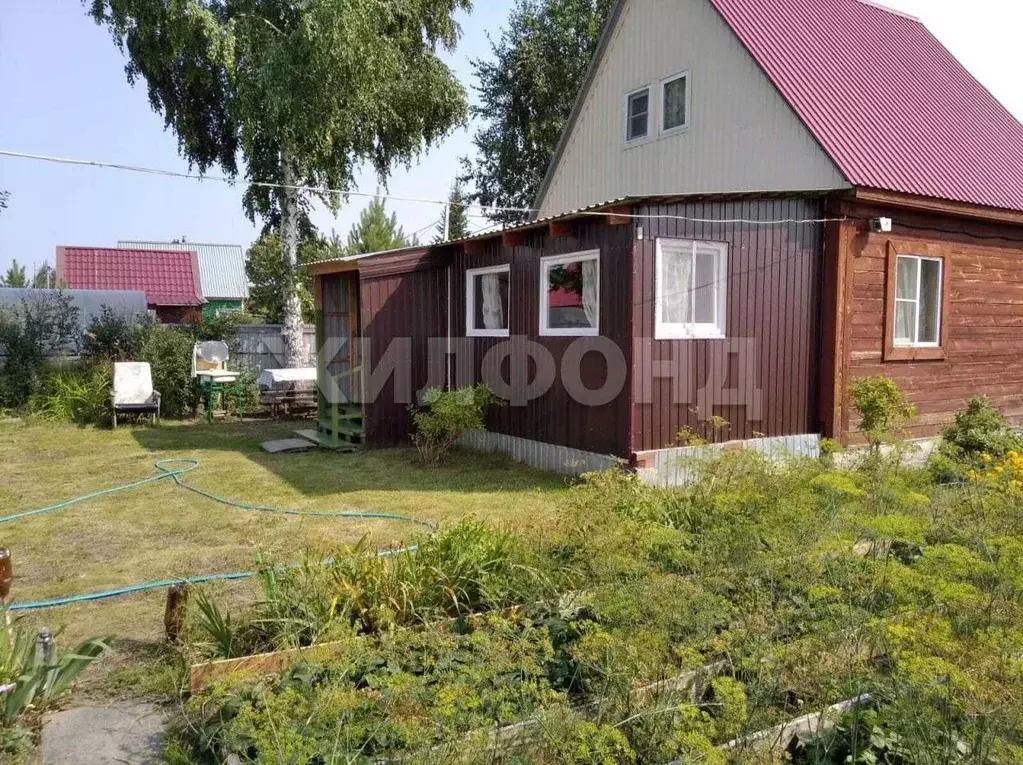 Дом в Новосибирская область, Коченевский район, Светлана ДНТ  (62 м) - Фото 1