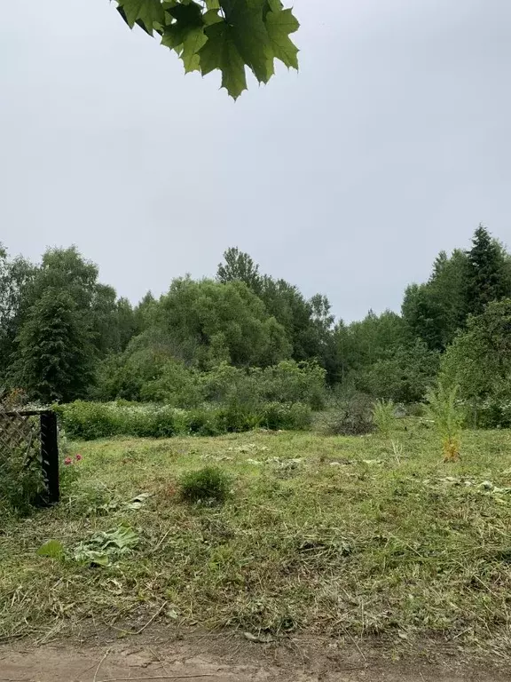 Участок в Тверская область, Кашинский городской округ, д. Белеутово  ... - Фото 1