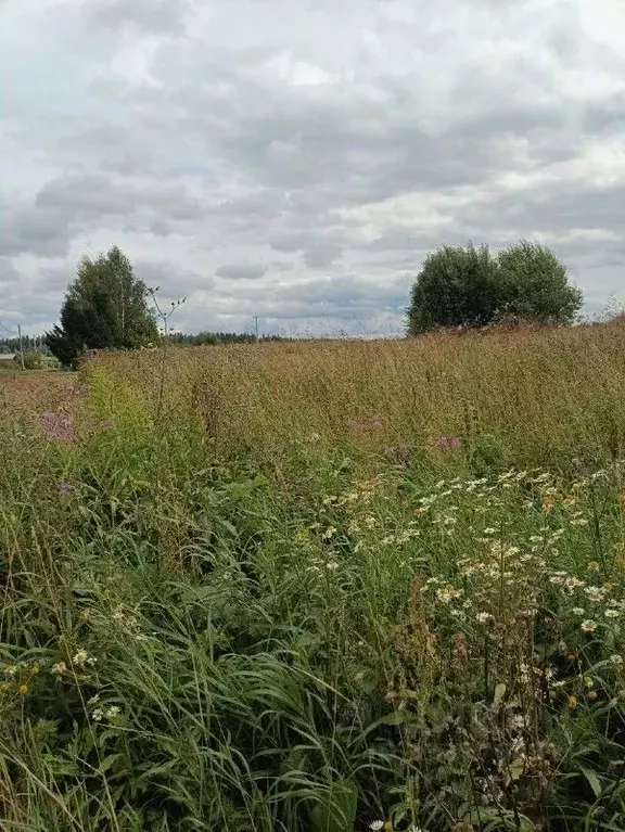 Участок в Московская область, Солнечногорск городской округ, д. ... - Фото 2
