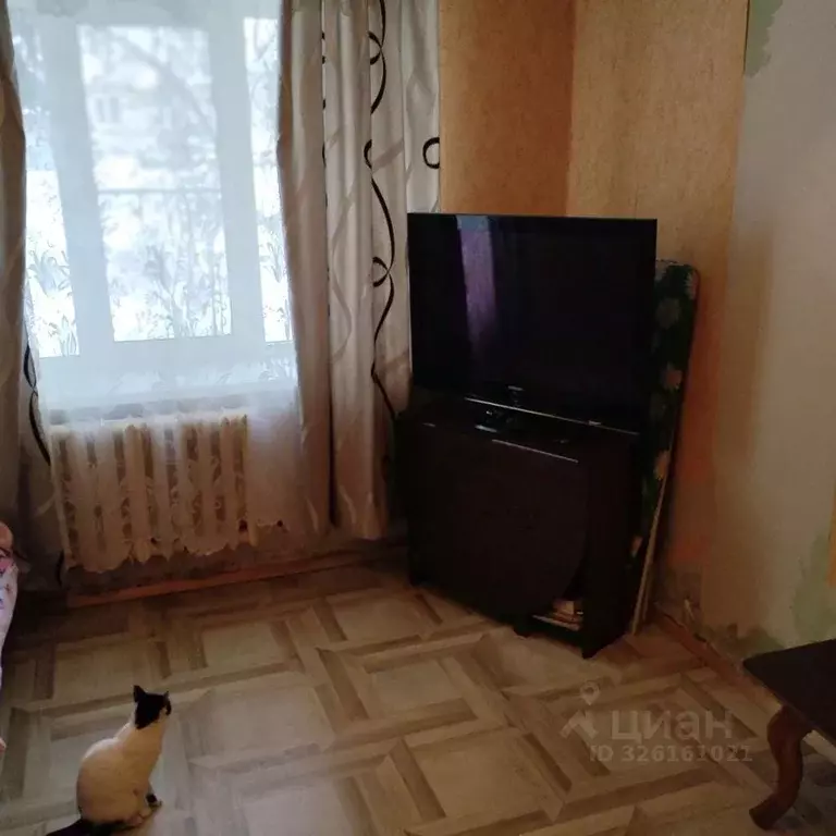 1-к кв. Тульская область, Алексин Армейская ул., 12А (21.0 м) - Фото 2