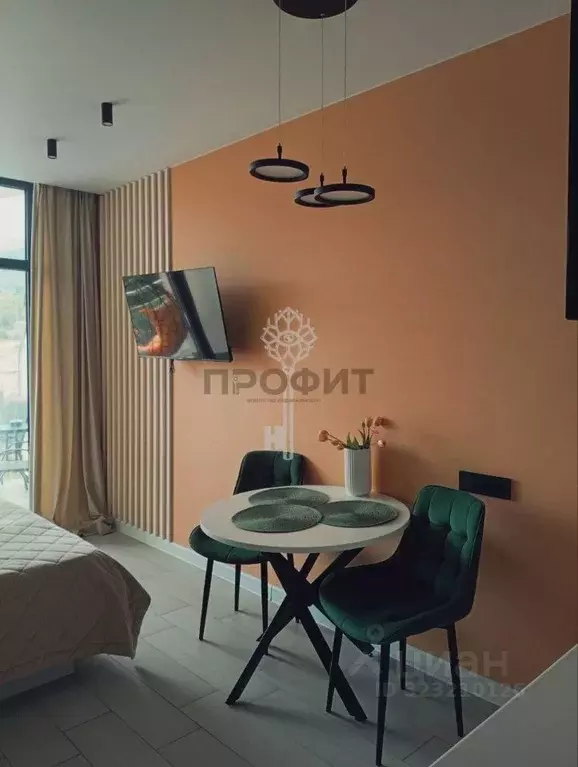 Студия Крым, Алушта ул. Западная, 4к2 (27.9 м) - Фото 1