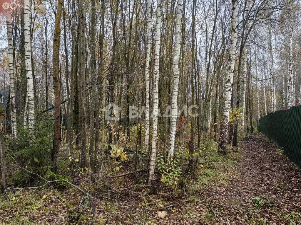 Участок в Дмитров, СНТ Иванцево (8.3 м) - Фото 1