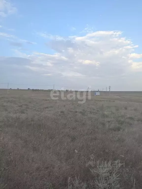 Участок в Крым, Черноморский район, с. Межводное ул. Мустафы Селимова ... - Фото 0