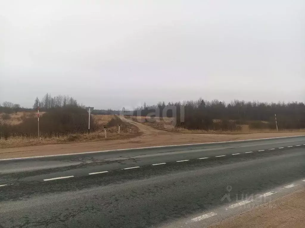 Участок в Псковская область, Куньинский район, Каськовская волость, д. ... - Фото 1