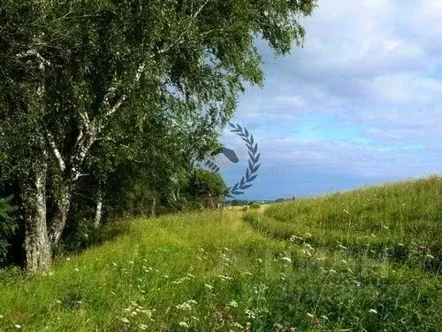 Участок в Калужская область, Тарусский район, Похвиснево с/пос, д. ... - Фото 0