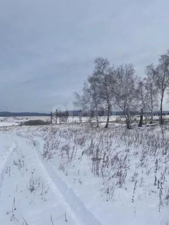 Участок в Забайкальский край, Улетовский муниципальный округ, с. Арей  ... - Фото 2