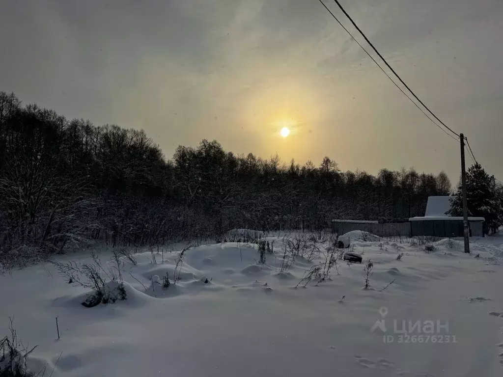 Участок в Московская область, Солнечногорск городской округ, д. Новая ... - Фото 2