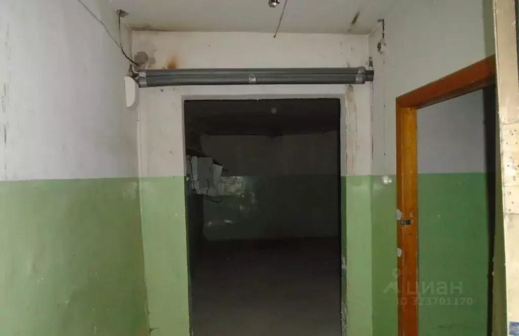 Помещение свободного назначения в Новосибирская область, Новосибирск ... - Фото 1