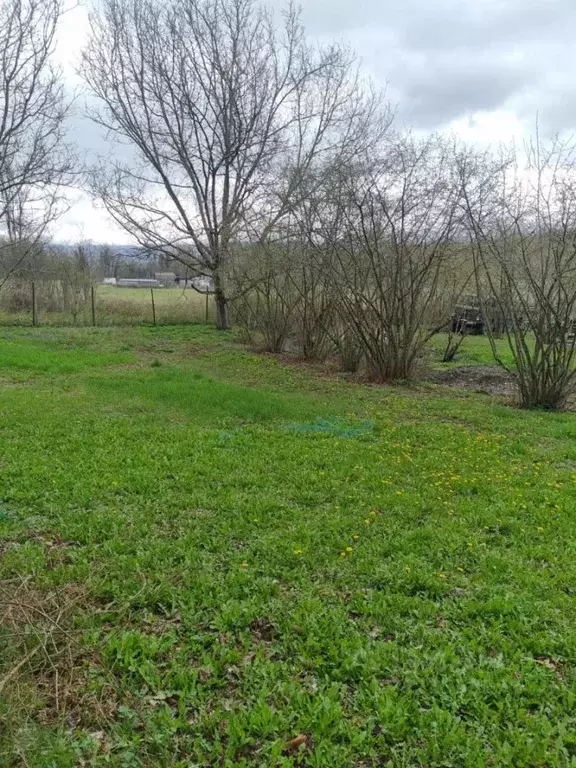 Участок в Краснодарский край, Геленджик городской округ, с. ... - Фото 2