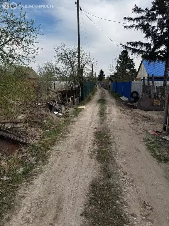 Участок в Омск, садоводческое некоммерческое товарищество Дары Сибири, ... - Фото 1