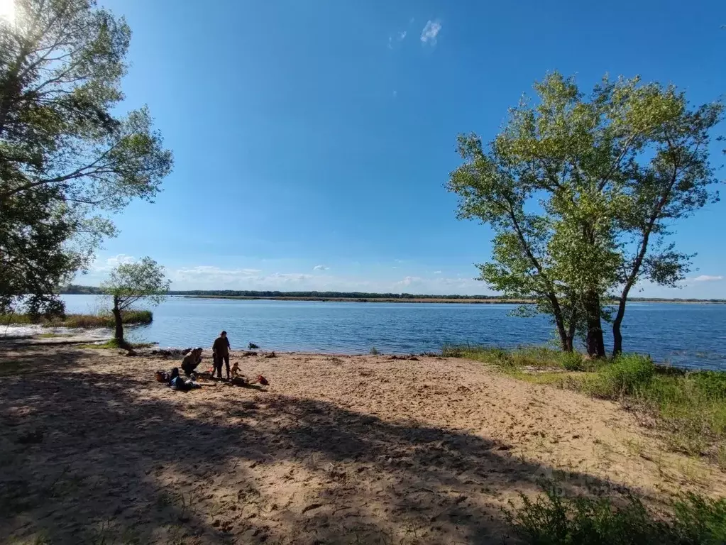 Участок в Саратовская область, Энгельсский район, Красноярское ... - Фото 0