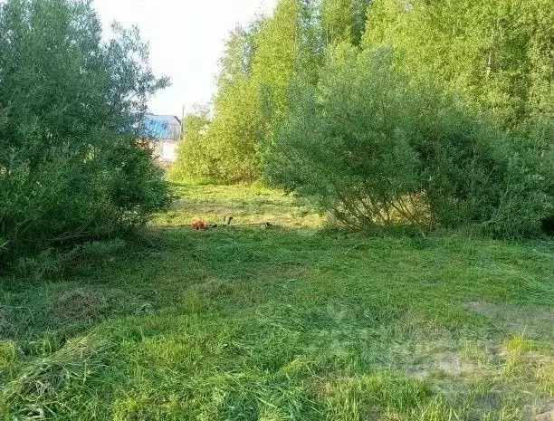Участок в Томская область, Томский район, д. Новомихайловка, Кедры ДНП ... - Фото 1