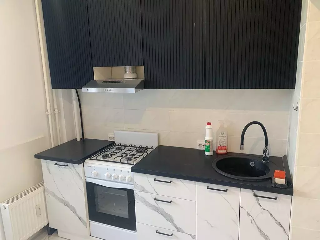 1-к кв. Псковская область, Псковский район, Завеличенская волость, д. ... - Фото 1